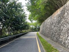 -小南山公园