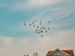 -朝阳公园