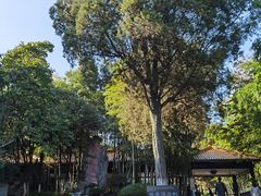 -善卷洞风景区
