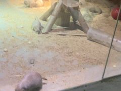 -正佳雨林生态植物园