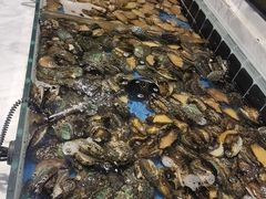 -川骄海鲜自助(河东店)