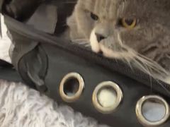 -拜鲁耶动物诊疗中心·宠家动物医院