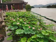 -湘湖大院(越王路店)