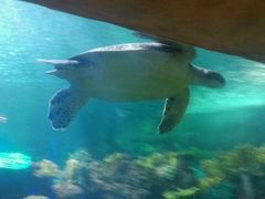 -运城海洋馆