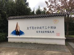 -印象普陀