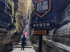 -梭布垭石林景区