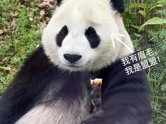 -武汉动物园