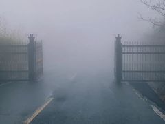 -江南天池