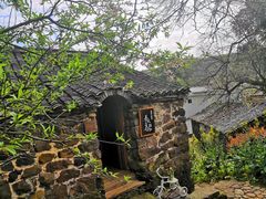 -桑洲油菜花景区
