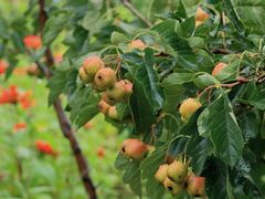 -潭柘厚院(桑峪村店)