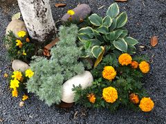 -常州古运河南大街文化旅游区-人民公园