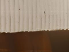 -喜家自助小火锅(乐客城店)