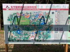 -东平国家森林公园