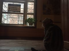 -汉唐驿-唐风美学民宿