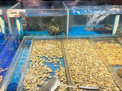 -船歌·鱼水饺青岛菜(闽江二路店)