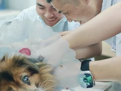 -宠福鑫康馨动物医院·骨科·眼科