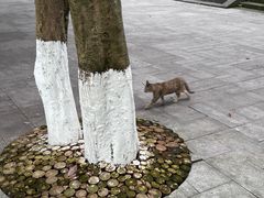 -忠山公园