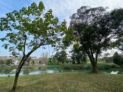 -两河城市森林公园