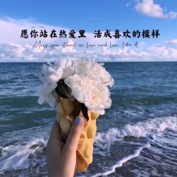 -凡碧诗毛孔收细