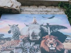 -北京野生动物园