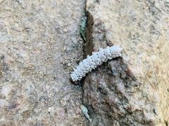 -碓臼峪自然风景区