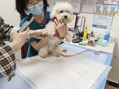 -美联众合动物医院·24h转诊中心