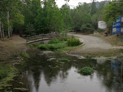 -白水寺森林公园