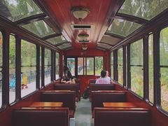 -合肥滨湖国家森林公园