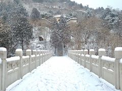 -白水寺森林公园
