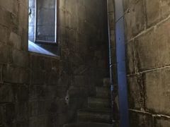 -圣母百花大教堂穹顶