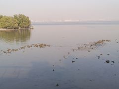 -深圳湾公园(南山区)