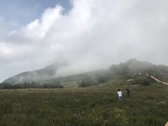 -白草畔自然风景区