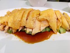 -Asianplus海蓝鸡饭