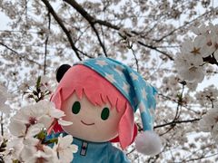 -高东镇樱花园