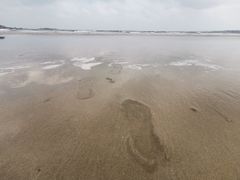 -龙凤头海滨浴场度假村-停车场