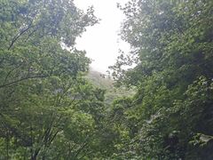 -藏龙百瀑风景区