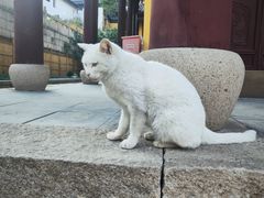 -无锡惠山寺