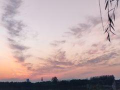 -大兴滨河森林公园