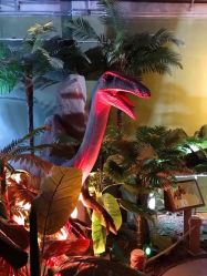 -恐龙探索乐园(磁器口店)