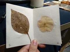 -BRAVO 赞·美艺术中心·系统美术·书法·艺考(双井校区)