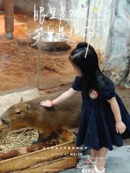 -Zoolung Zoolung动物主题公园(海信广场店)