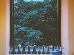 -花满楼(启秀路店)