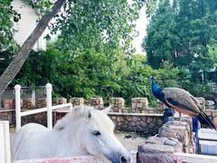 -J Create城市露营咖啡·简餐·宠物(上海动物园店)