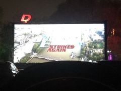 -枫花园汽车电影院(朝阳公园店)