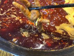 -五里关火锅(牛市口店)