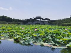 -上海海湾国家森林公园