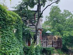 -老张烤羊(王哥庄店)