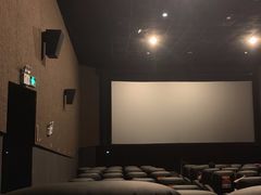 -上海金逸影城(静安大悦城店（原新恒星影城）)