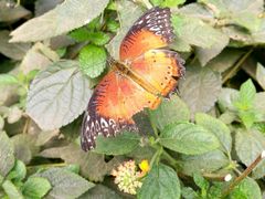 -小厨晓味(大里路店)