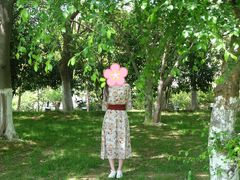 -艾溪湖湿地公园